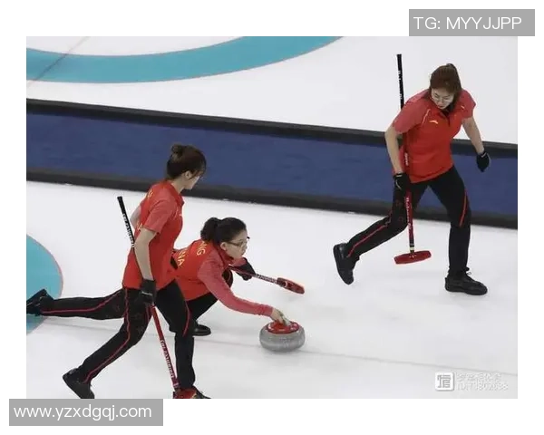 北京网球队灵活性变革引发热议探索新模式与发展方向