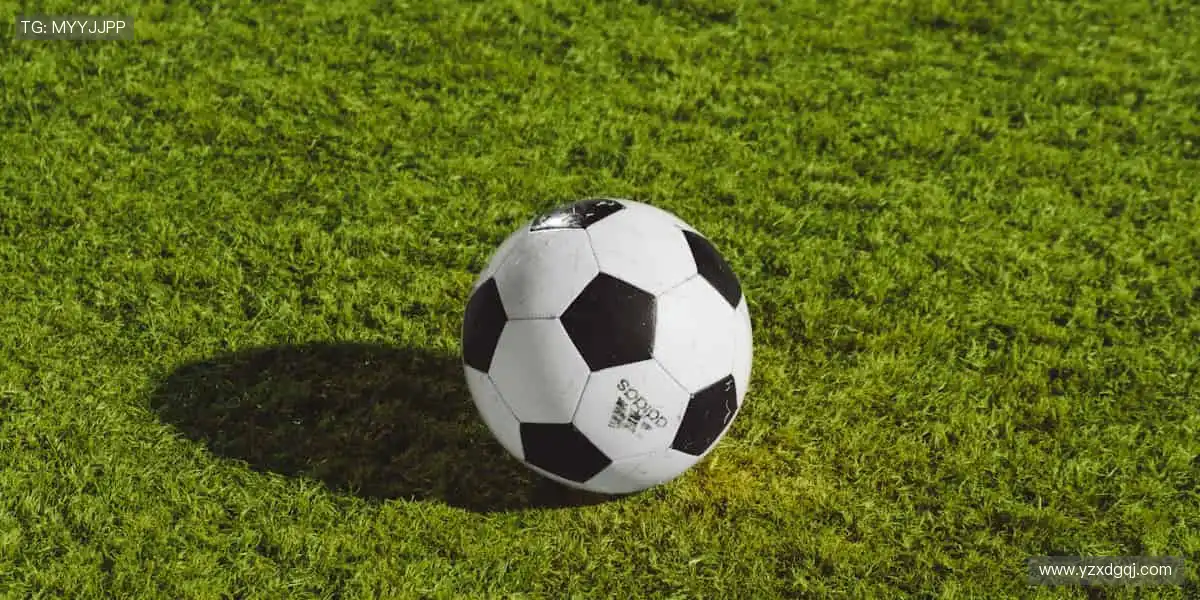 🎯 从装备到潮流,体育周边商城,做你的运动全能搭档!