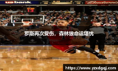 罗斯再次受伤，森林狼命运堪忧