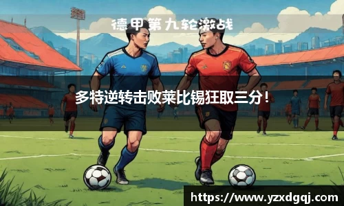 yy体育