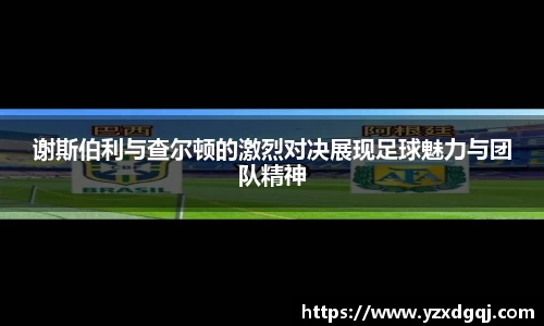 谢斯伯利与查尔顿的激烈对决展现足球魅力与团队精神
