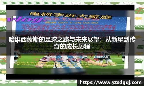 yy体育