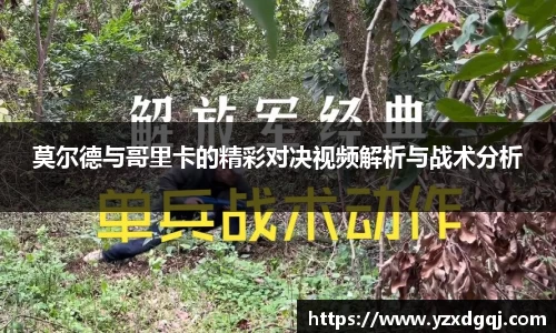 易游体育