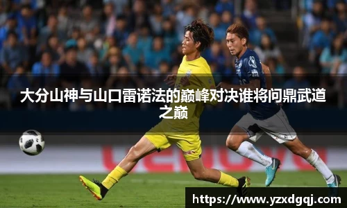大分山神与山口雷诺法的巅峰对决谁将问鼎武道之巅